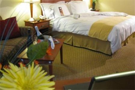 Charleston Airport Hotel North Charleston Quarto foto